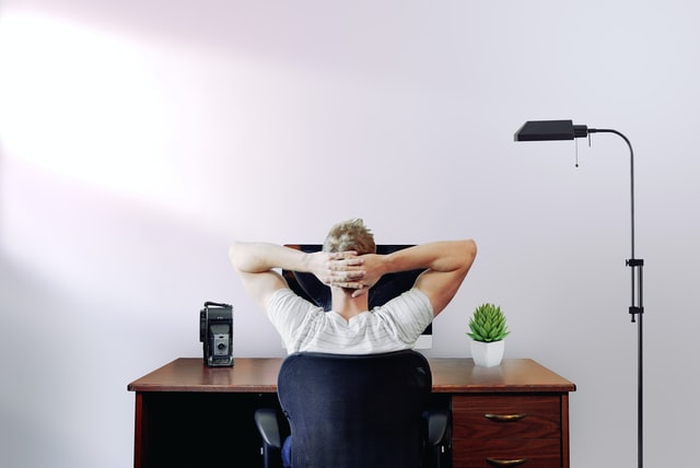 easy succulent to grow Indoor plant growing near work desk
