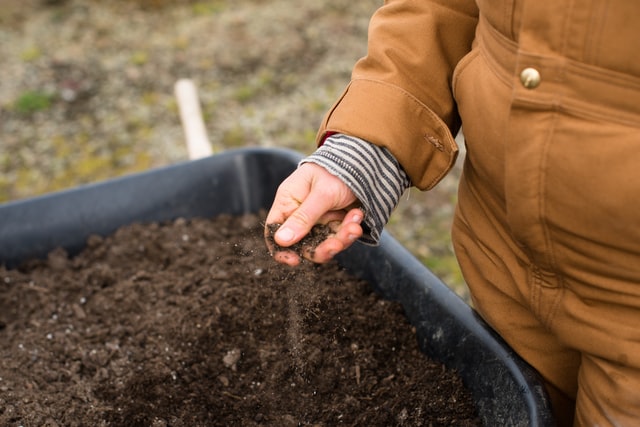 soil for succulent
