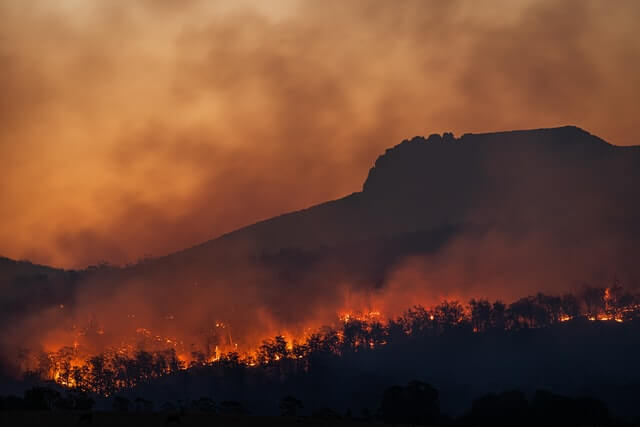 climate change and why compost is important to prevent this
