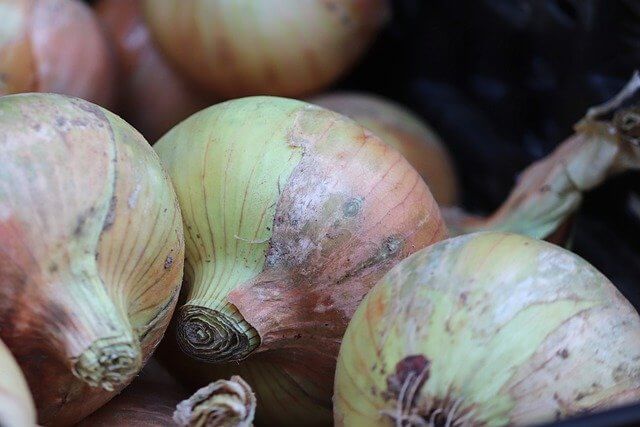 moulded onion