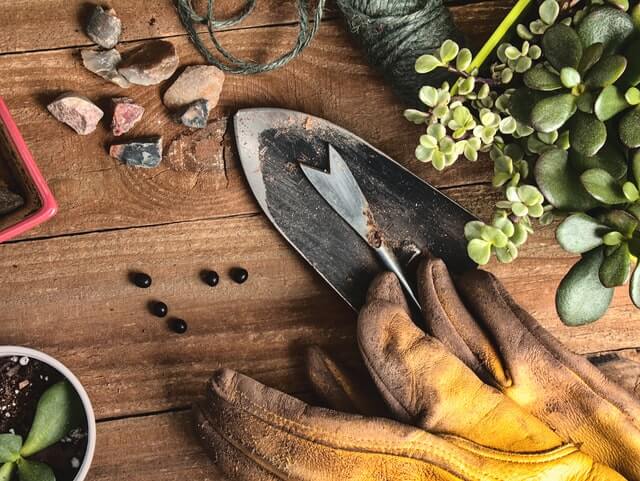 planting succulents in rocks that are smaller and broken down