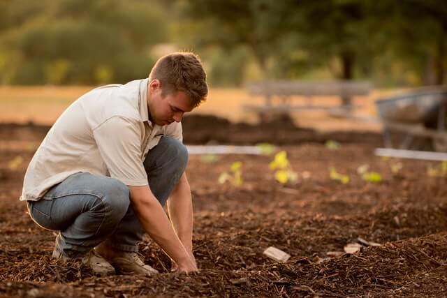 man in white shirt adding compost
