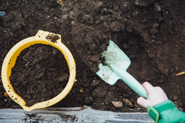 cactus compost