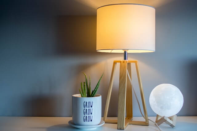 lamp light for monstera
