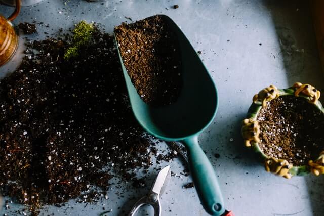 potting mix for red heart