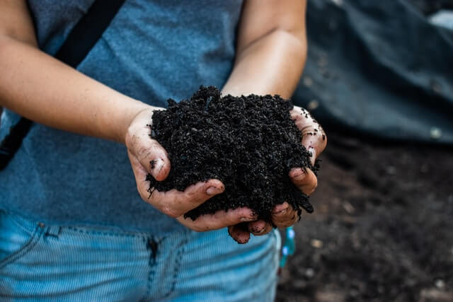 soil for red heart