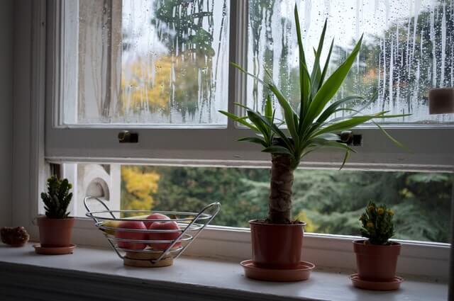 window open for ventilation
  