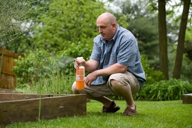 spray fertilizer