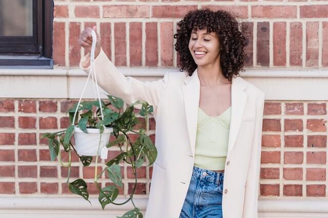 hanging plant unhooked to be watered