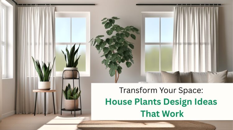 Transform Your Space: House Plants Design Ideas That Work