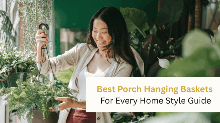 Best Porch Hanging Baskets For Every Home Style Guide