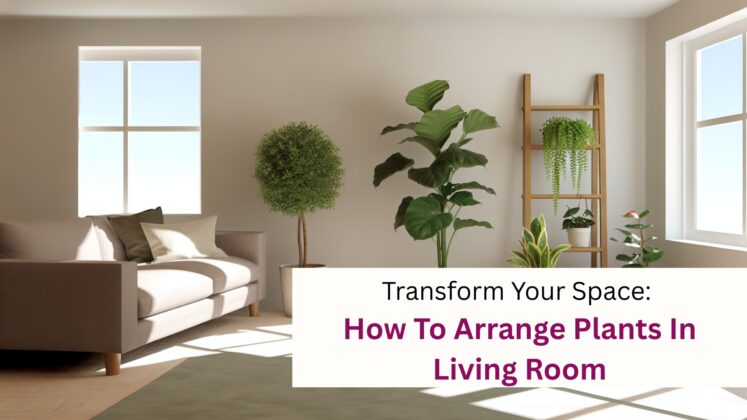 How To Arrange Plants In Living Room