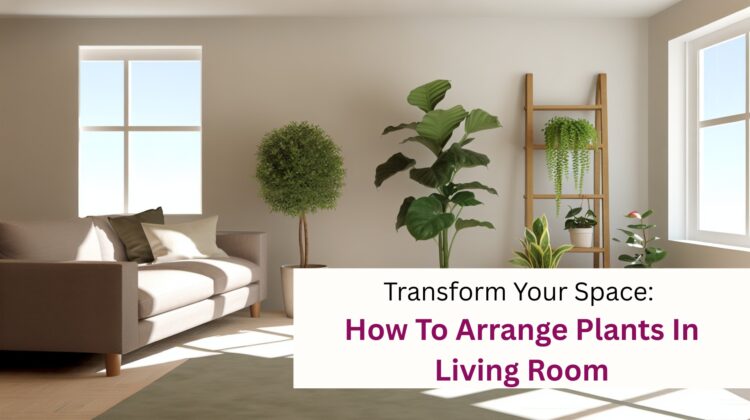 How To Arrange Plants In Living Room