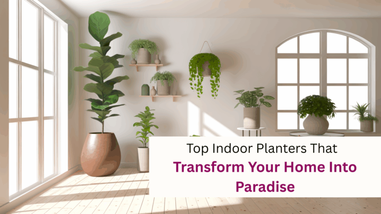 Top Indoor Planters- Transform Your Home Into Paradise