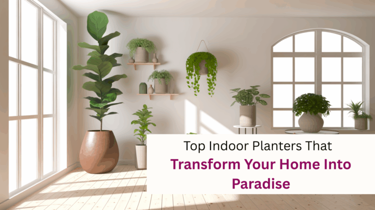 Top Indoor Planters- Transform Your Home Into Paradise