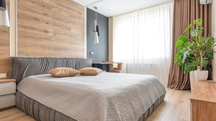 Common house plant in bedroom