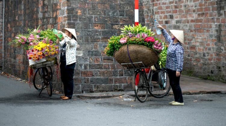 Growing plants