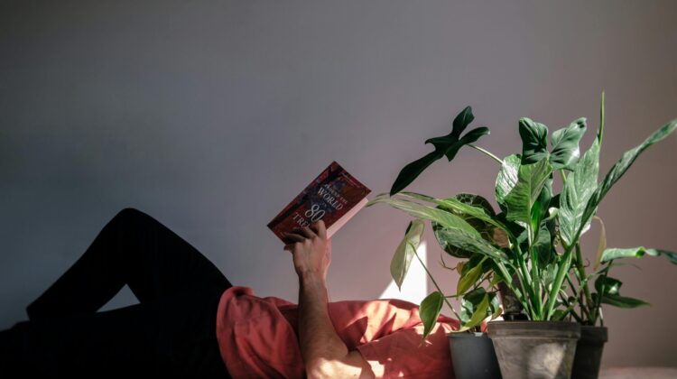 best indoor plants low light