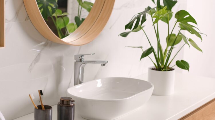 do pothos like direct sunlight bathroom pothos plants
