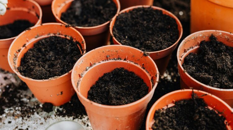 soil