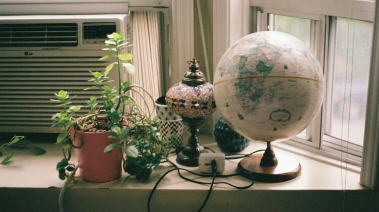 windowsill plants