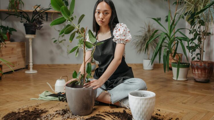  plants that grow in the dark