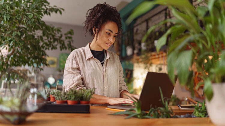 shopping online for rare house plants to buy