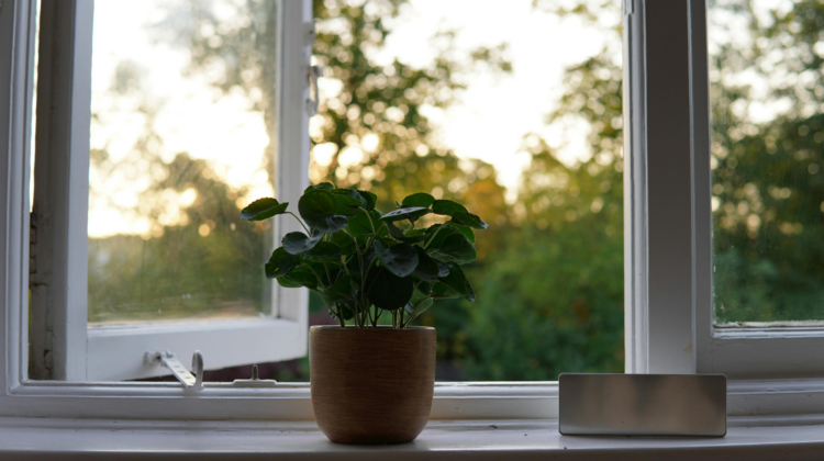 indirect light