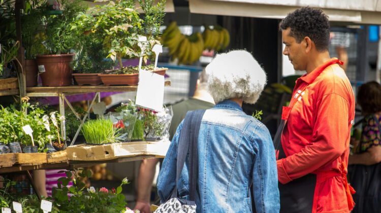 rare house plants - market