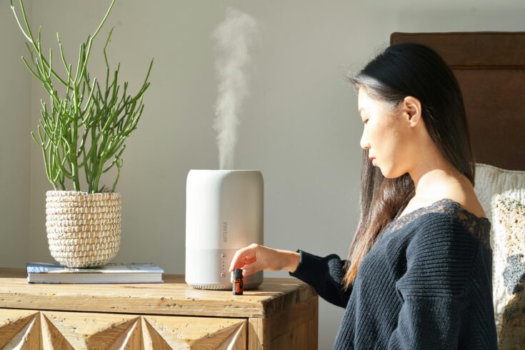 rare philodendron humidifier