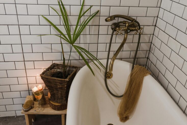 bathroom best indoor plants for air quality
